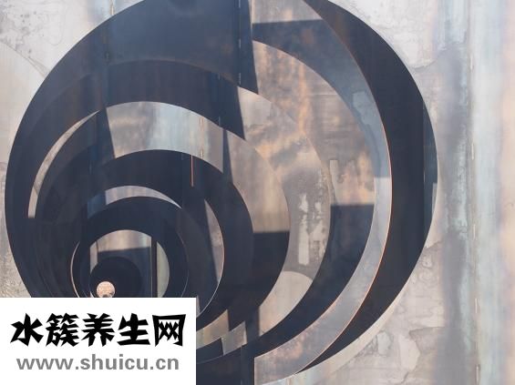右脑的功能