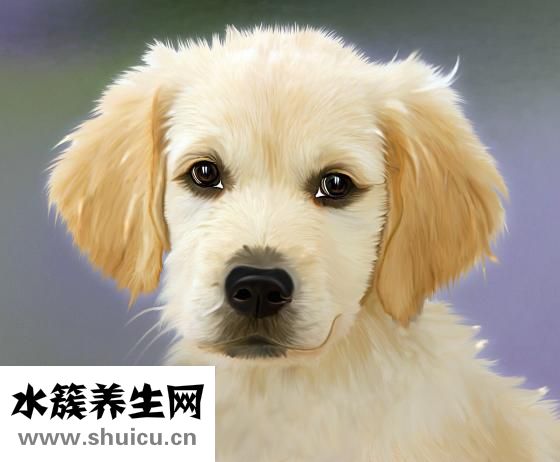 啫喱状眼霜