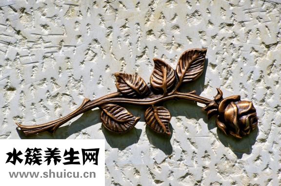 千页豆腐家常做法