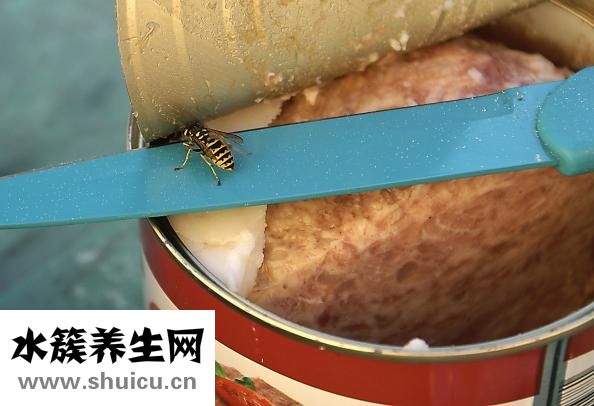 怎么减肥不反弹