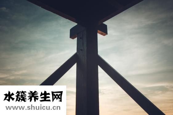 头部骨骼结构图