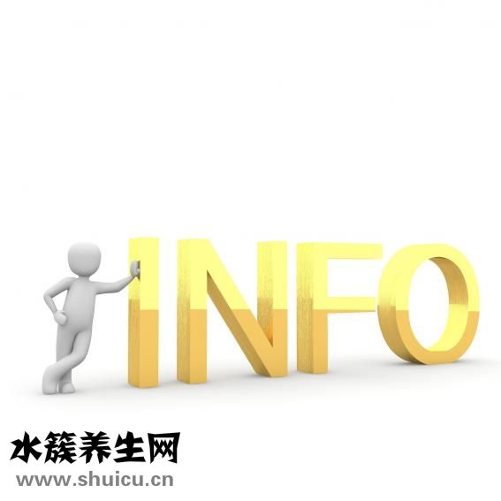 头昏挂什么科