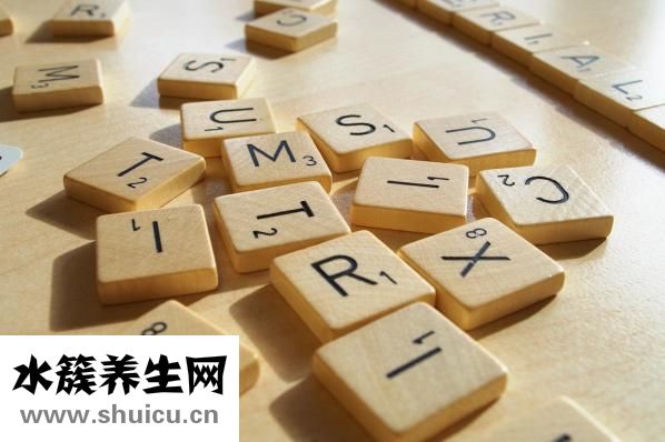 右脑的功能