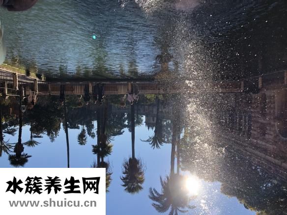 为什么会起水泡