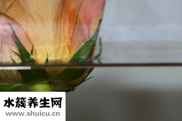 姨妈巾怎么用