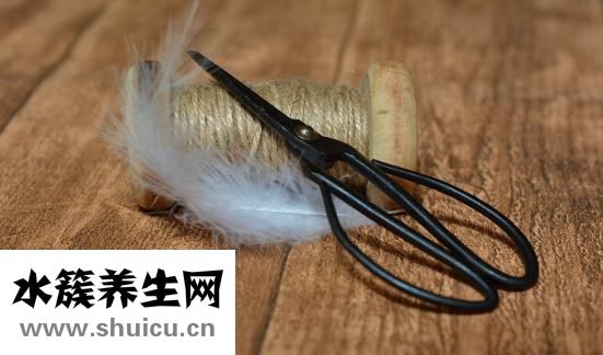 怀孕肚子上长毛