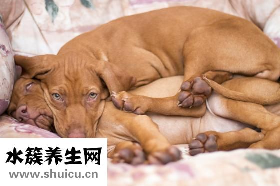 姨妈巾怎么用