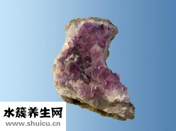 早餐吃啥好