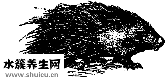 小儿按摩网