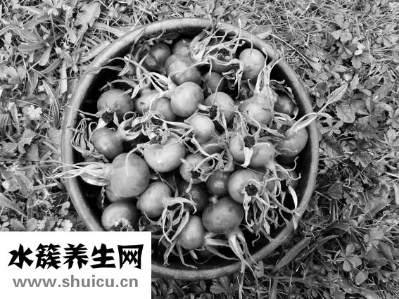 哺乳期可以吃葱吗