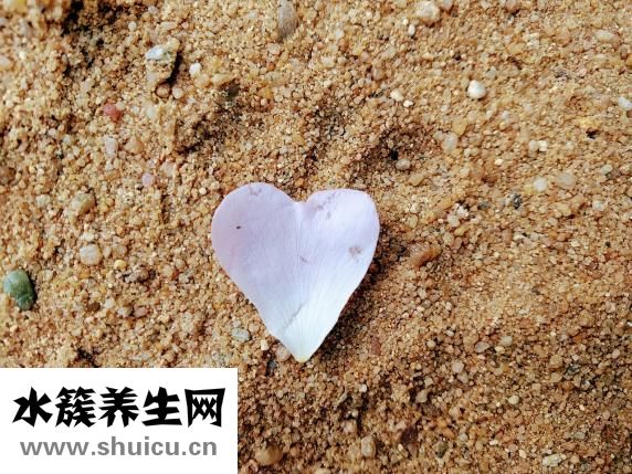 什么是心脏造影
