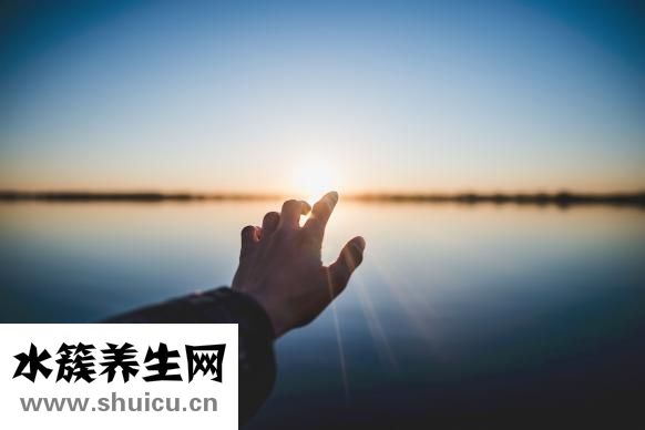 含钾高的水果