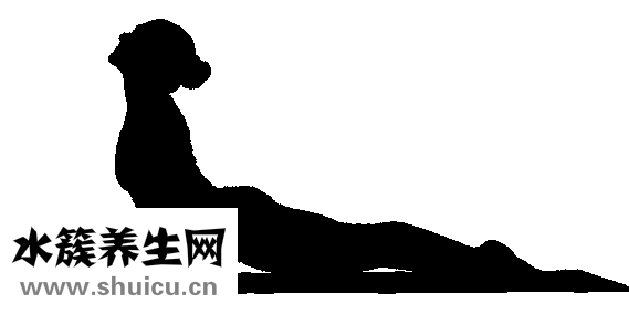 如何减大腿