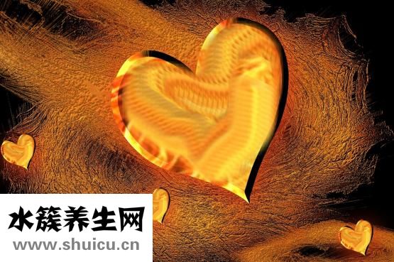 心脏的图片
