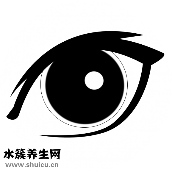 双眼皮锻炼器