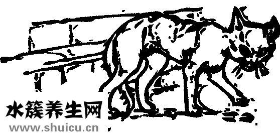 五公里多少步