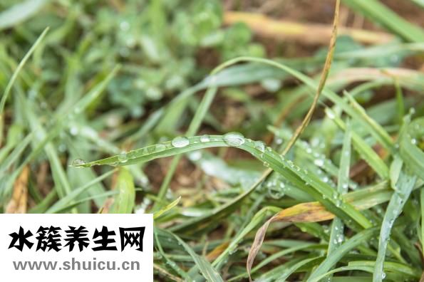幼儿营养早餐