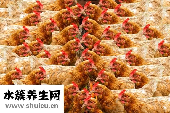 手动打发蛋清
