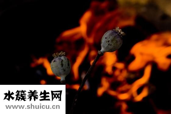 仁和清火胶囊