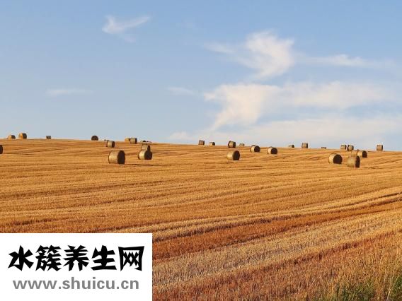 五公里多少步