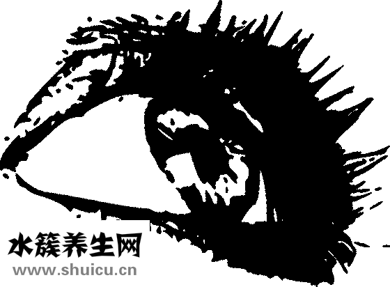 双眼皮锻炼器