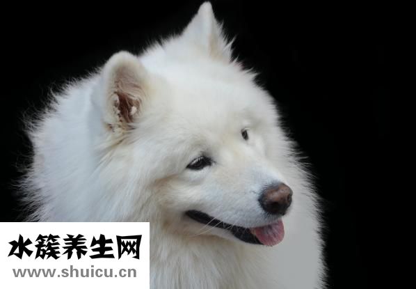 测体温要多少钱？可以在家里测一测