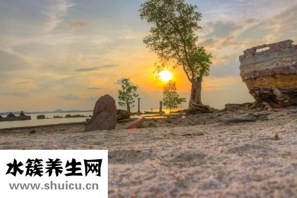 右侧颈动脉斑块