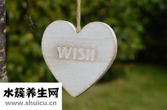 养胃喝什么茶好