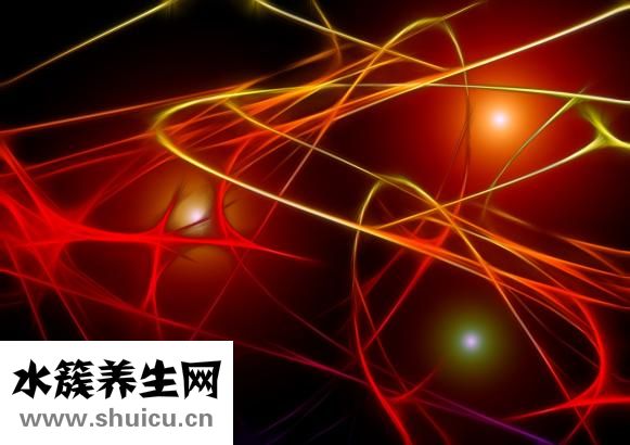 右侧颈动脉斑块
