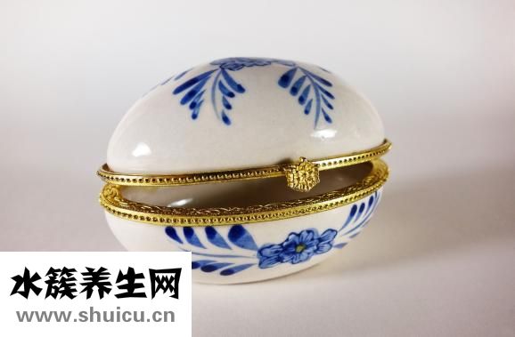 组屋单位！疏林中密集聚伞花序伞形花萼长-cm