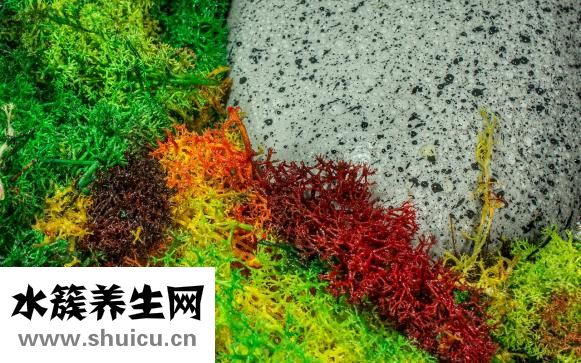 孕妇能吃巴旦木吗