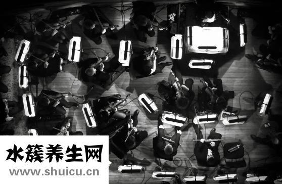 三奇堂养生健肝茶