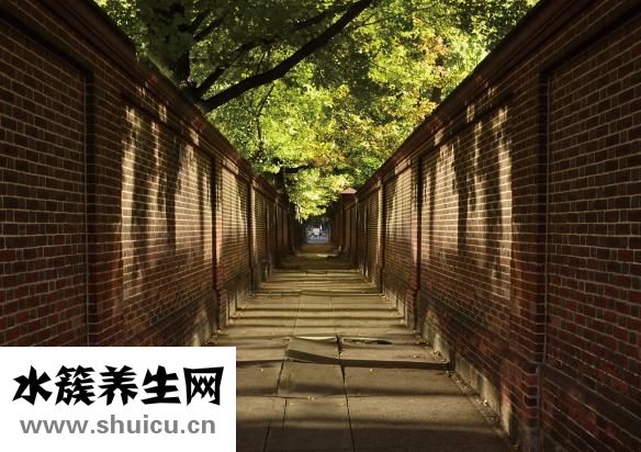 睡觉鼻塞怎么办？其实不是很严重可以根据小方式处理