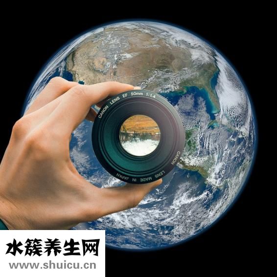 山萸肉的功效与作用