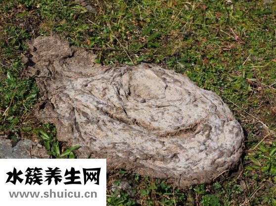 山药好消化吗