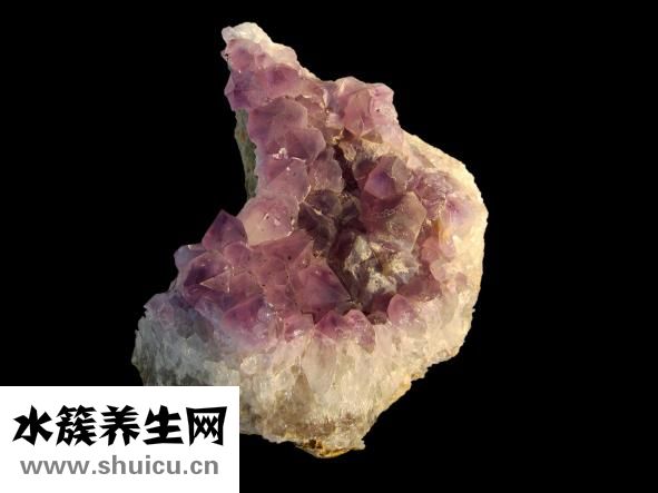 孕妇能吃蕨菜吗