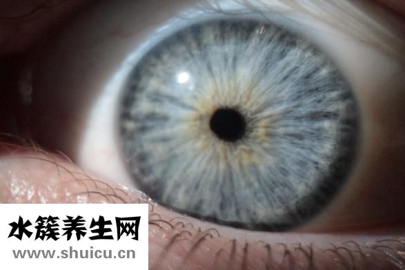 什么是化妆水