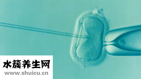同房后多久着床