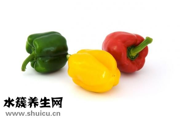 土鳖虫的作用与功效