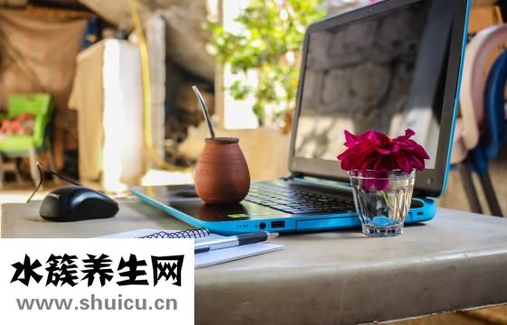 五味子治失眠的方法