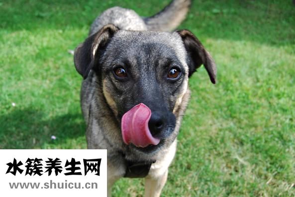 多吃新水果蔬菜有助改善肾功能