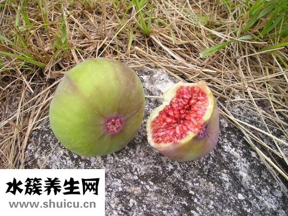 无花果可制作零食和食品添营养