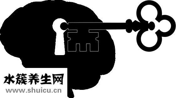 早孕三项检查什么