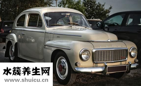 小龙虾上市时间