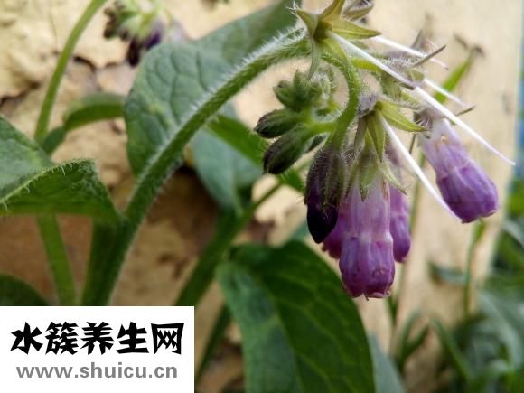 心动过速的治疗方法