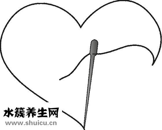 心脏血管堵塞