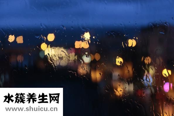 下焦寒湿的症状