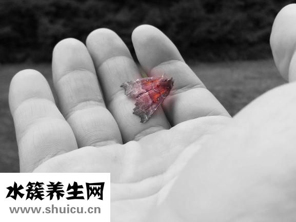 孕妇能洗牙齿吗