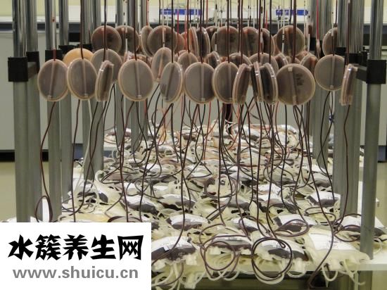 献血对人体有何影响？