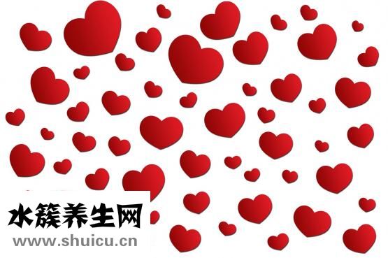 心脏血管堵塞